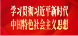 学习贯彻习近平新时代中国特色社会主义思想